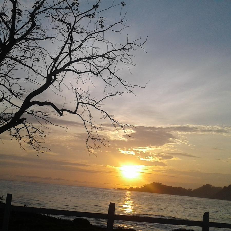 Cabana Pura Vida Acomodação com café da manhã Acandi Exterior foto